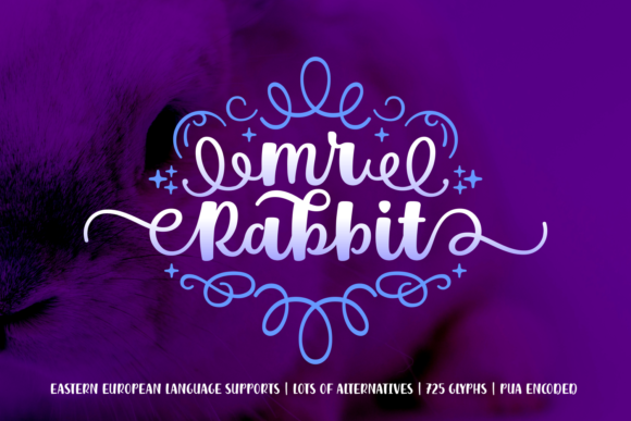 Mr. Rabbit Font: A Serif Choice for Digital Branding and Web Design