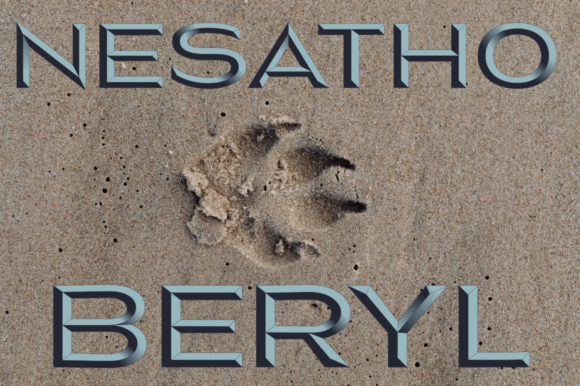 Nesatho-Beryl Font Review for Campaign Design